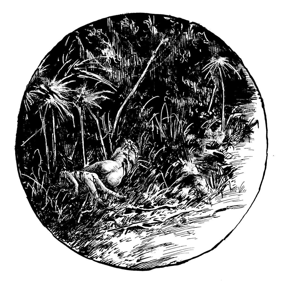 Primitives Chapter 1