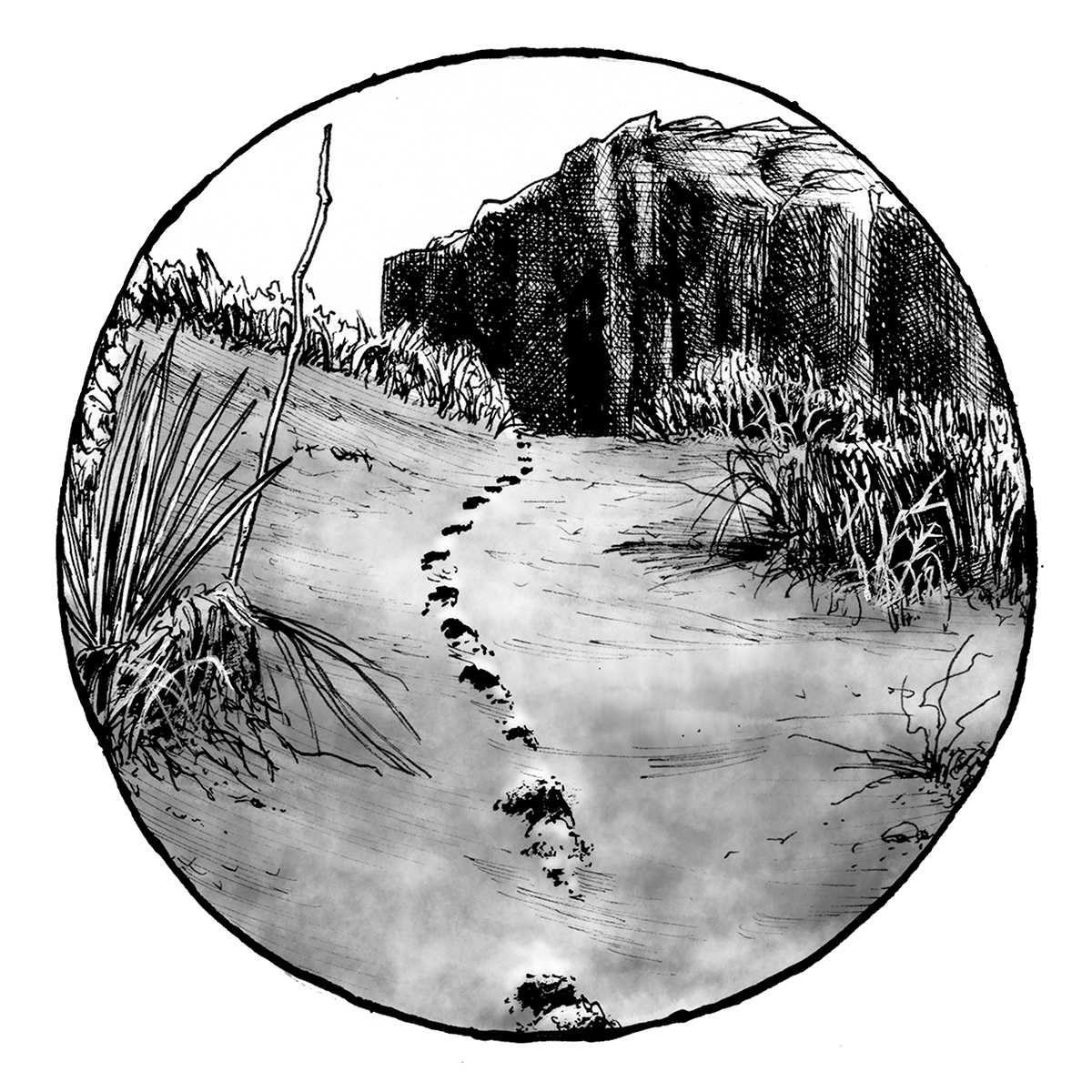 Primitives Chapter 10