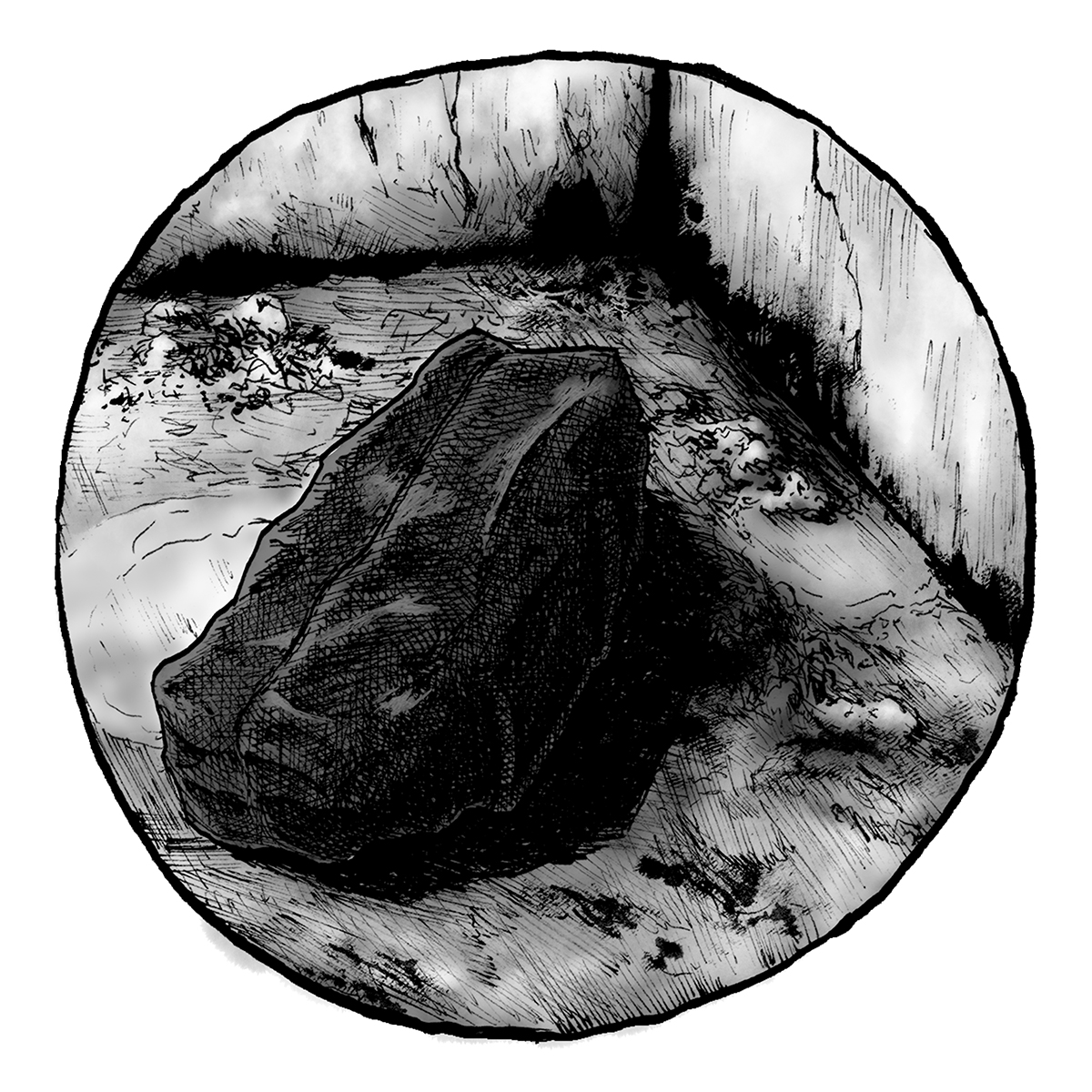 Primitives Chapter 11