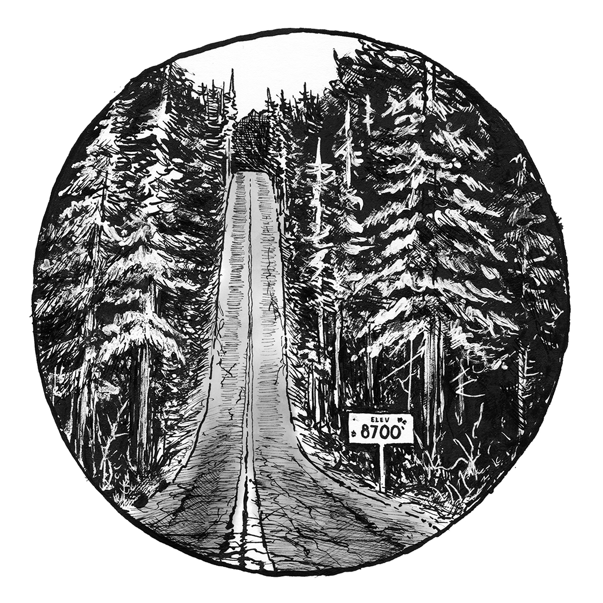 Primitives Chapter 19