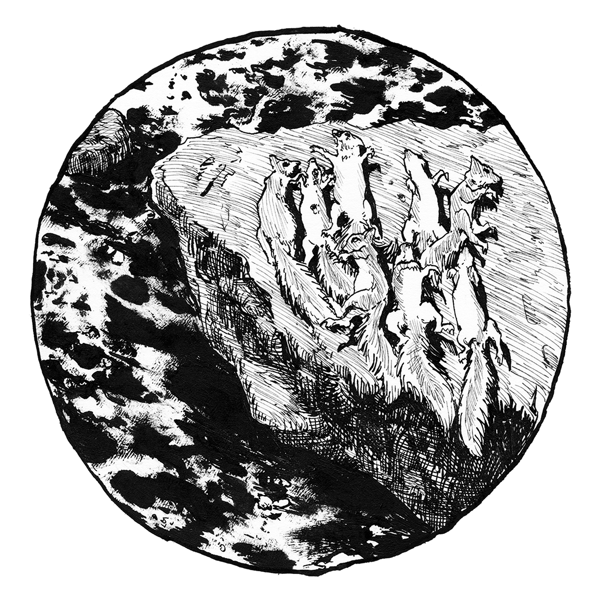 Primitives Chapter 21