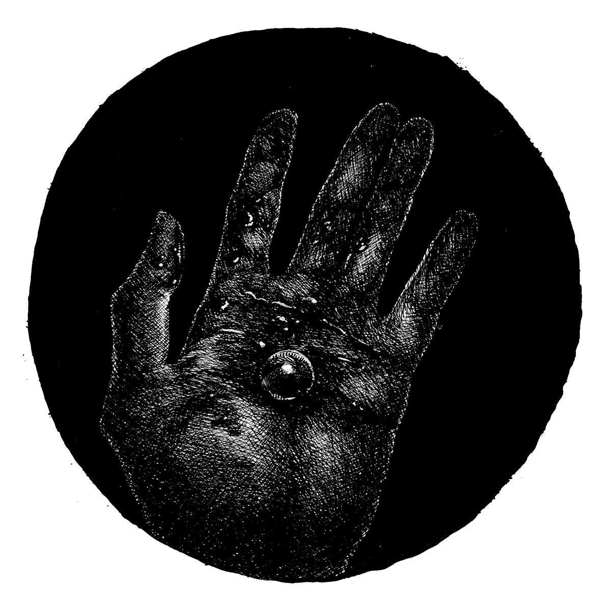 Primitives Chapter 28