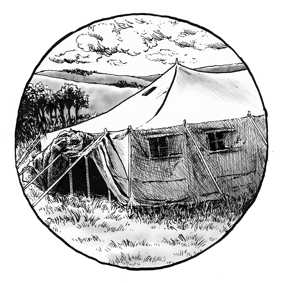 Primitives Chapter 37