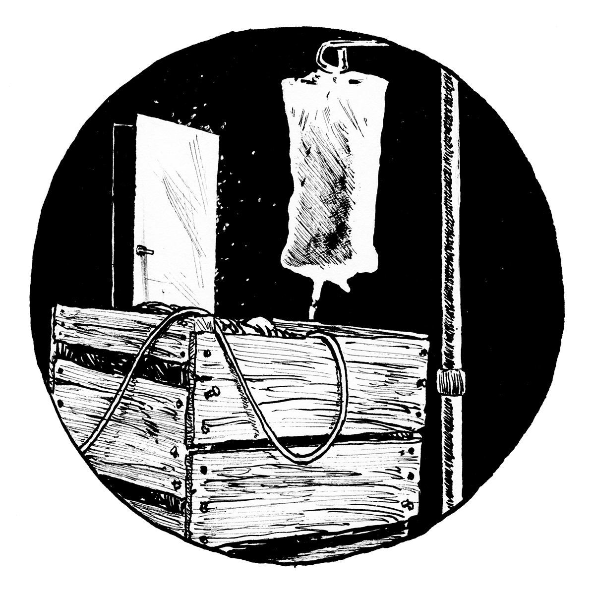 Primitives Chapter 6